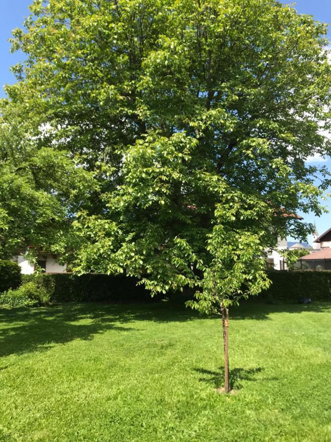 Villa Nussbaum Golling an der Salzach Exteriér fotografie