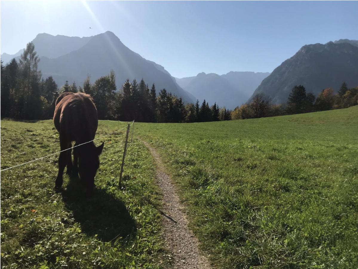 Villa Nussbaum Golling an der Salzach Exteriér fotografie